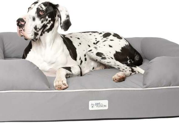 PetFusion Ultimate Dog Bed