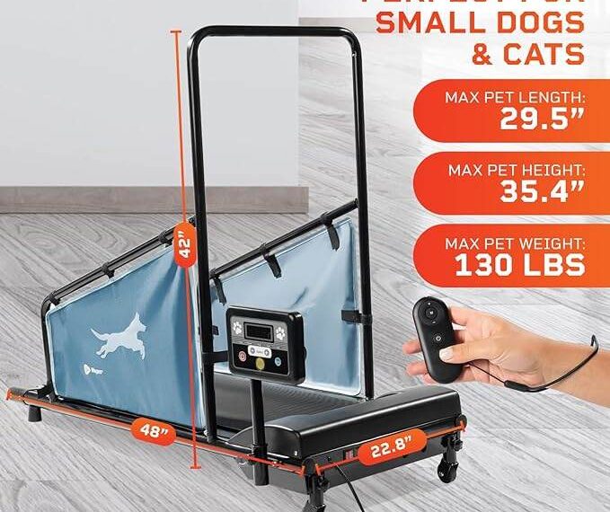 LifePro Dog Treadmill Review for Small Breeds