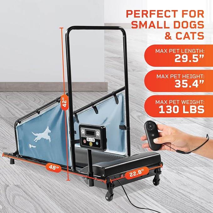 LifePro Dog Treadmill Review for Small Breeds