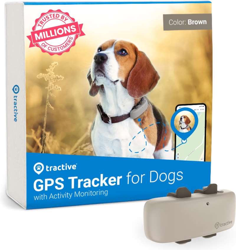 Best GPS Dog Collars of 2024