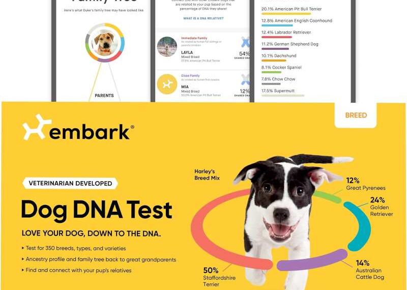 Embark Breed Identification Kit, dog dna kit