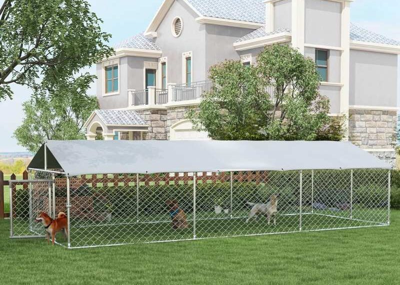 PawHut Large Dog Kennel Outside Review