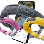 Halo Collar 3 Review: Smart Pet Safety Redefined