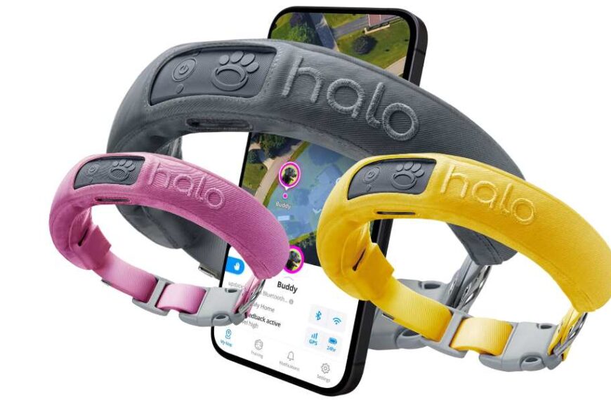 Halo Collar 3 Review: Smart Pet Safety Redefined