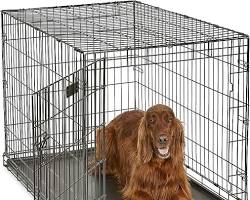 MidWest Homes for Pets iCrate Crate Training Your Puppy Made Easy