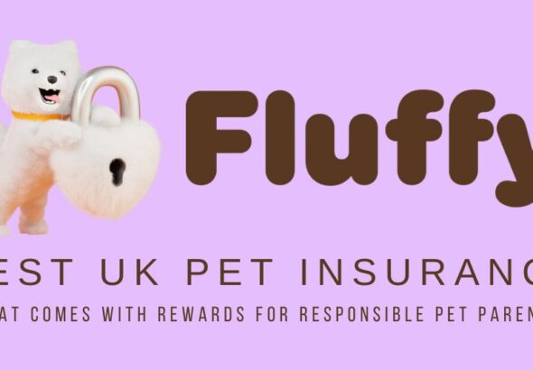 Best UK Pet Insurance
