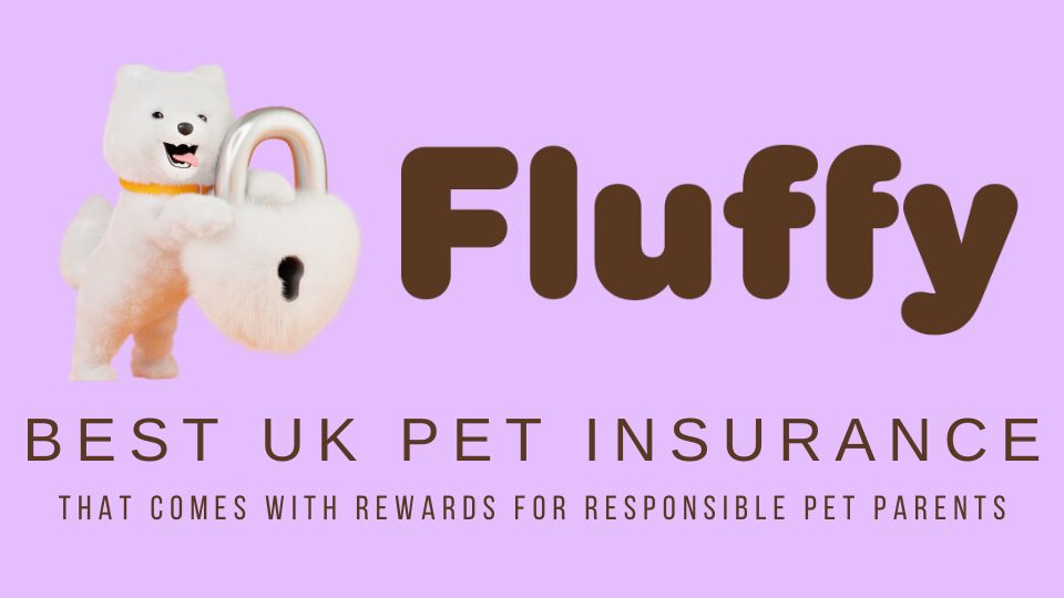 Best UK Pet Insurance