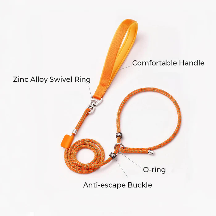 Durable No Pull Dog Training Leash Slip Lead with Padded Handle