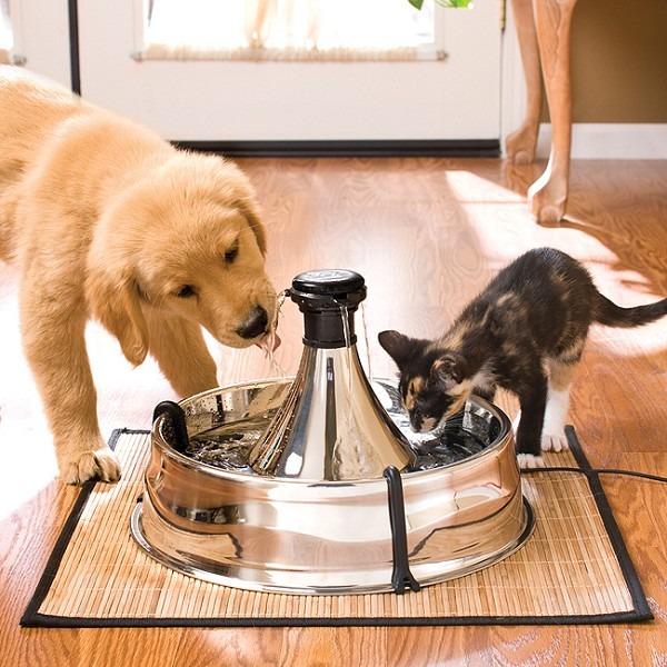 PetSafe Stainless Steel 360 Fountain