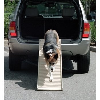 PetStep II Folding Dog Ramp