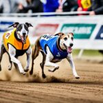 dog racing Is It Ethical?