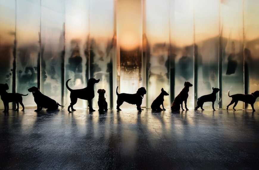 Top 50 Most Popular Dog Breeds