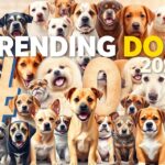 Trending Dog Hashtags 2025